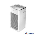 دستگاه تصفیه هوا گری مدل GCF300ASNA